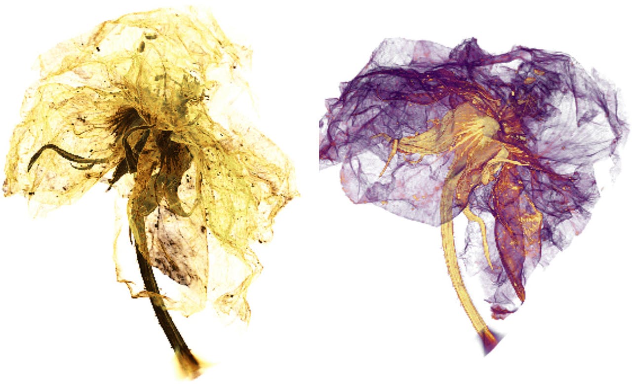 Accesorio del mes - Enews Febrero.jpg